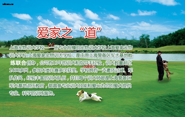 T2aVM0XPlXXXXXXXXX-36431986.jpg