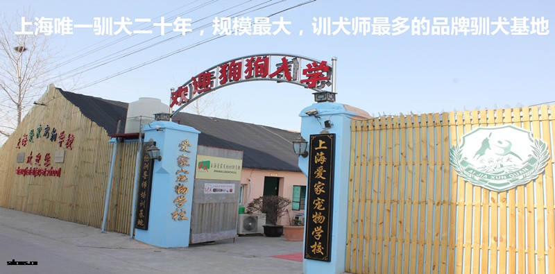 3爱家大门11.jpg