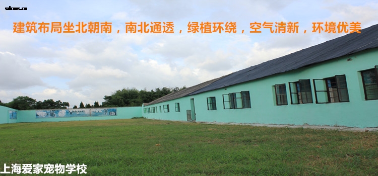 3本750单张爱家环境2.jpg