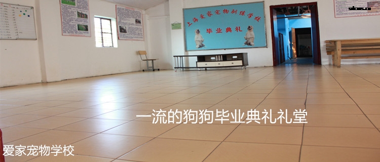 750专业室内训练4.jpg