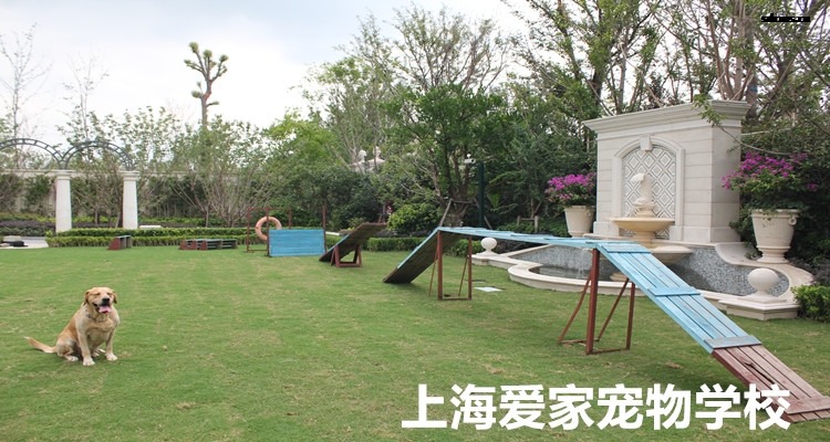 750爱家训练场.jpg