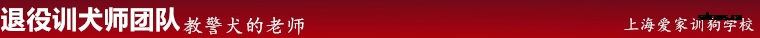 训狗退役训狗师.png 训狗退役训狗师.png