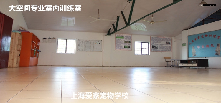 750专业室内训练2.jpg