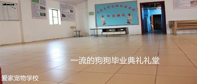 750专业室内训练4.jpg