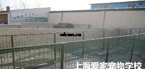 狗狗独立跑道