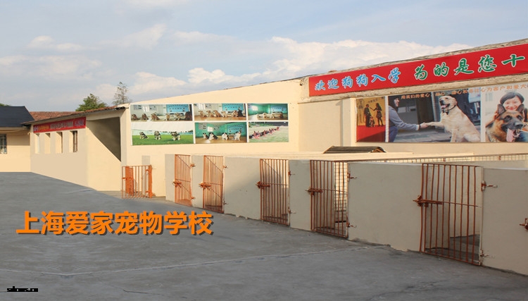 750爱家环境.jpg