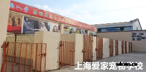 狗狗室外单间