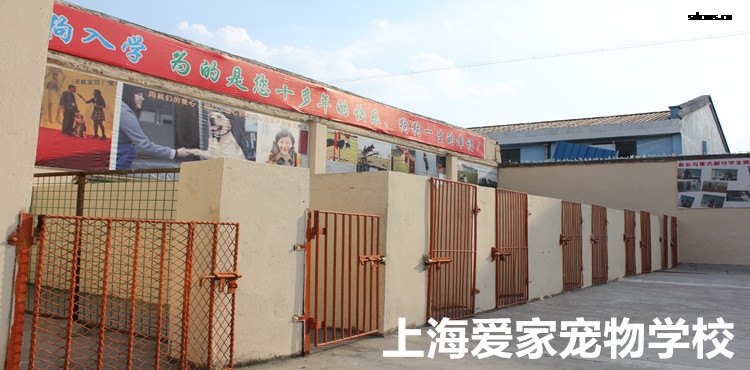 750狗狗活动空间1.jpg