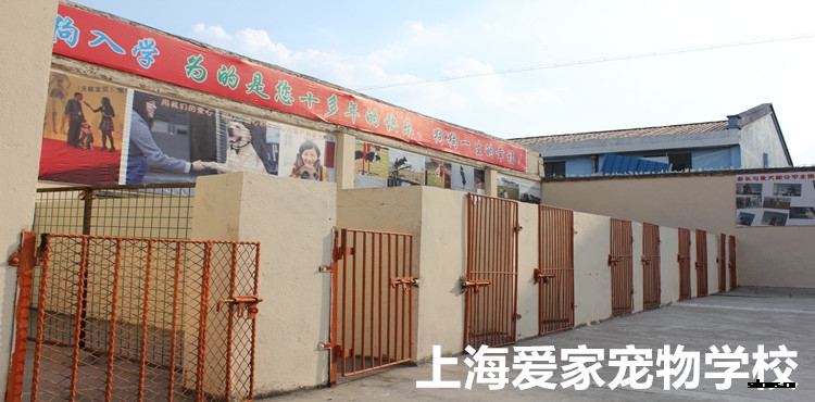 750狗狗活动空间1.jpg