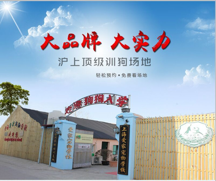 3爱家大门12.jpg
