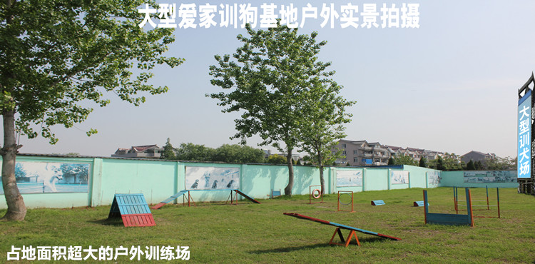 3本750大型草地1.jpg