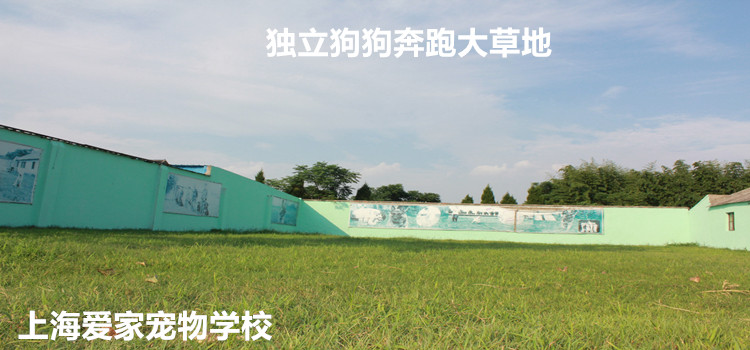 3本750单张爱家环境4.jpg