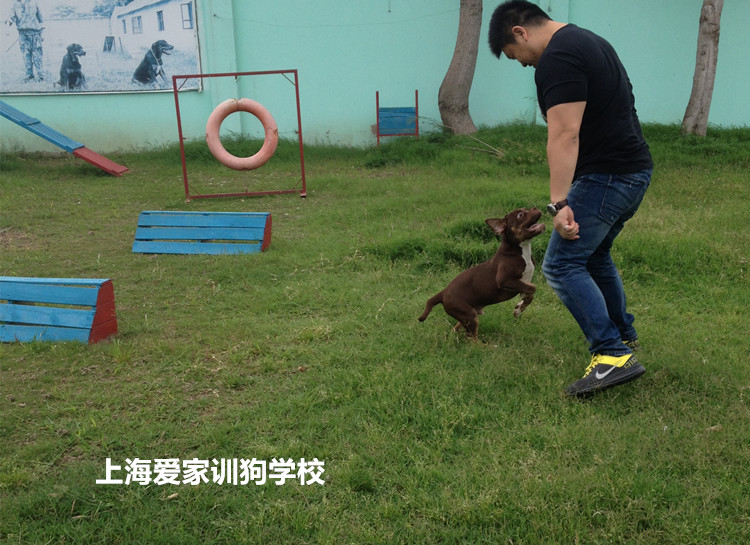 IMG_3335_副本.jpg