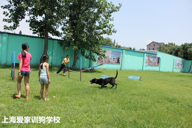 IMG_4141_副本.jpg