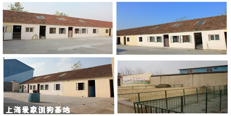 爱家训狗学校基地狗狗宿舍外景组合图.jpg 爱家训狗学校基地狗狗宿舍外景组合图.jpg