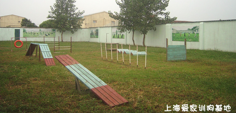 训狗基地，上海训狗学校.jpg