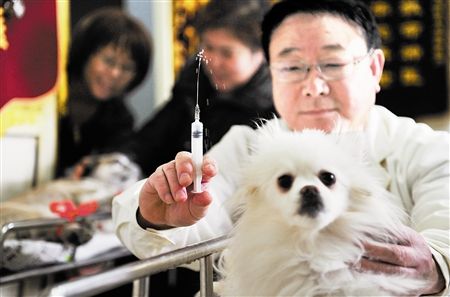 狗狗疫苗注射.jpg
