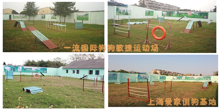 敏捷场组合图.jpg
