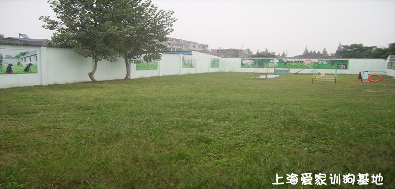 宠物学校,上海宠物学校.jpg 宠物学校,上海宠物学校.jpg
