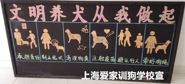 文明养狗狗宣传.jpg