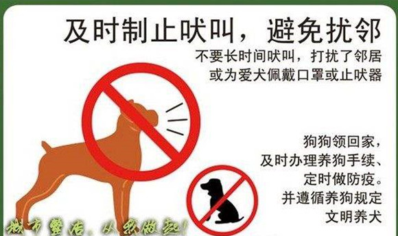 狗狗要训练.jpg