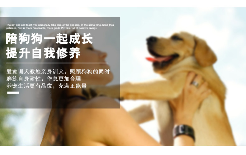 狗狗从小训练.jpg